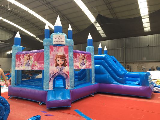 Hot Princess Party Bouncy Castle with Slide PVC Commercial Playground Equipment