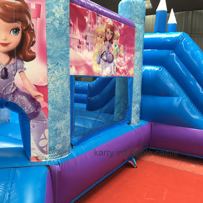 Hot Princess Party Bouncy Castle with Slide PVC Commercial Playground Equipment