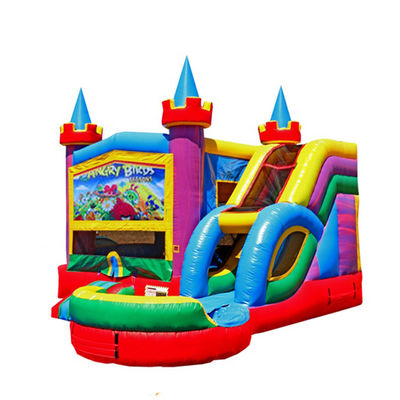 Inflatable Castle Slide Combo for Kids PVC Material Unisex Ireful Birds Bounce House