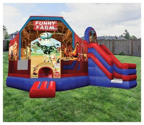 Features PORTABLE Giant Carousel Bouncy Castle Combo Slide with Customized Color