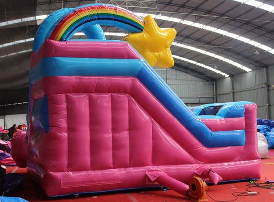 Commercial Party Rental 5x5.5m Inflatable Bouncy Castle with Slide Unicorn