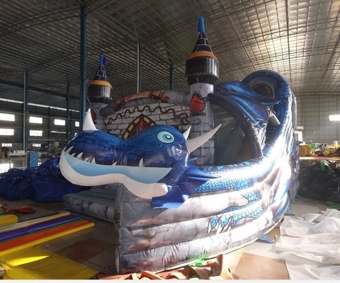 Amusement Inflatable Kids Activity Center with Customizable Castle and Bouncing House