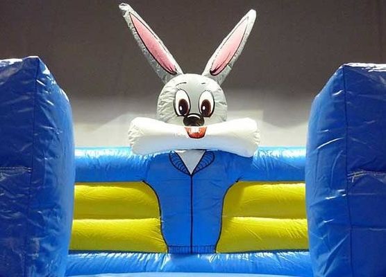 Cute and Funny Commercial Bouncy House Age Range 14 Years Up Gender Unisex Funny Design