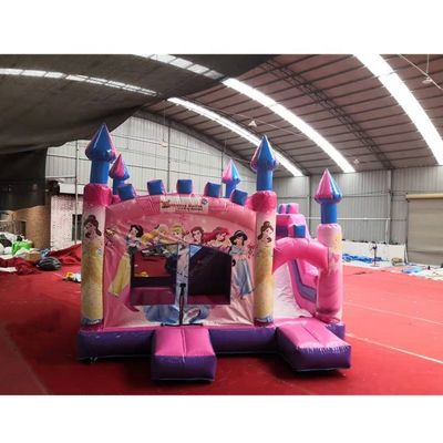 5*5*4.2m Inflatable Air Jumping Castle Combo Slide for Pink Princess