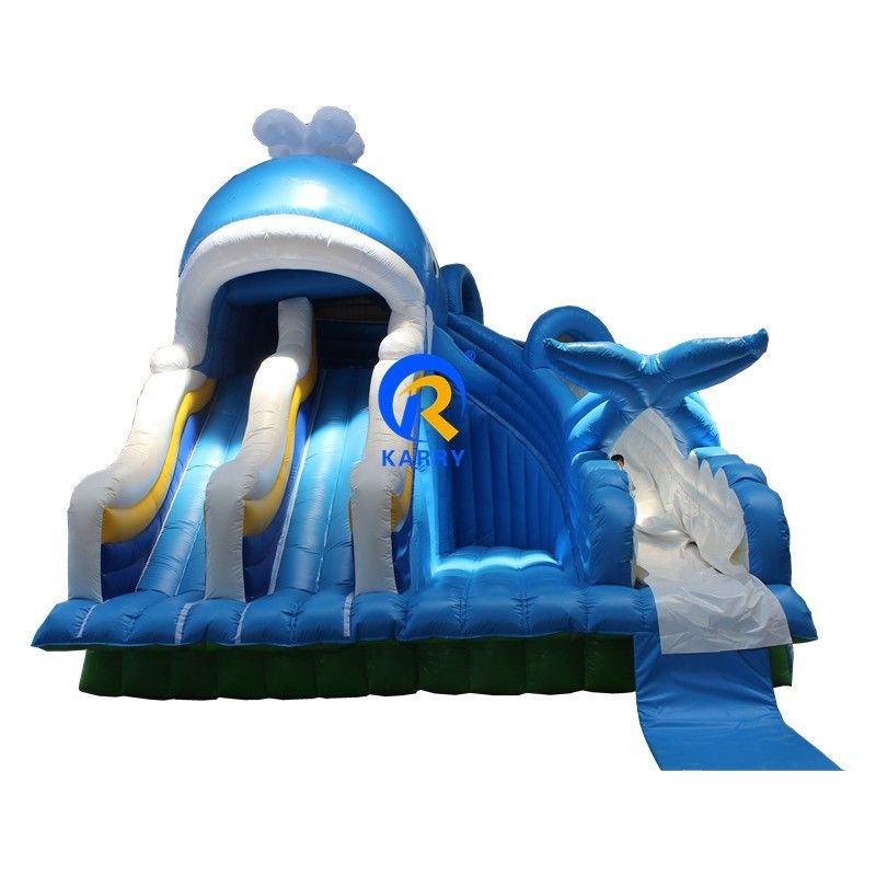 Portable PVC 0.55mm Tarpaulin Inflatable Water Slide with Pools and Swimming Ball Toys