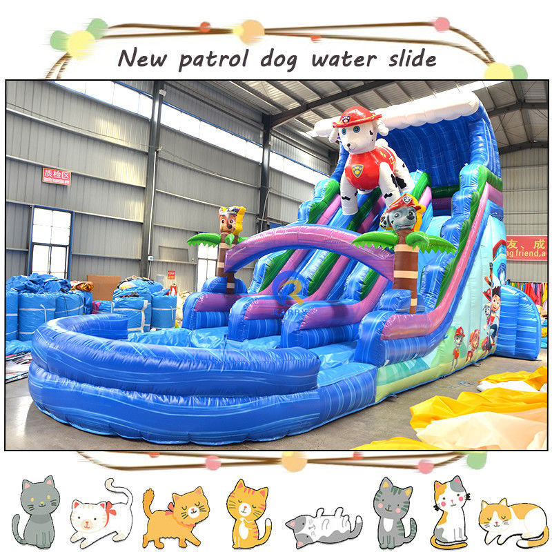 Entertain Kids with 3D Paw-Patrols Inflatable Water Slide and Pool Double-lane Design