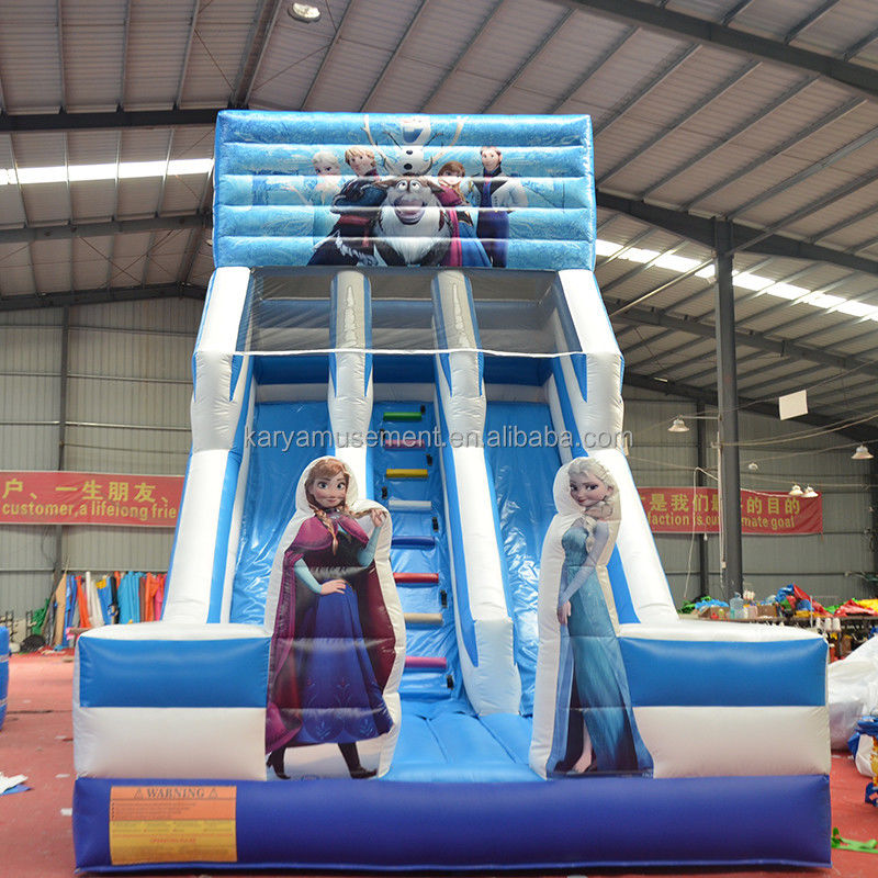 Digital Printing Frozen Inflatable Water Double Slip N Slide for Outdoor Entertainment