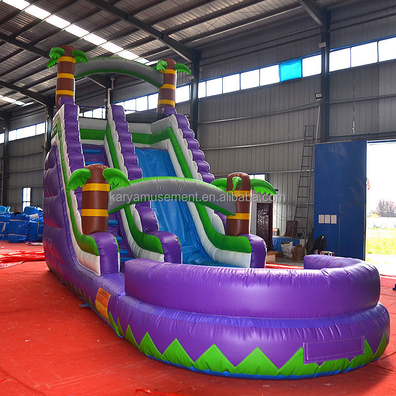 5-10 Passenger Capacity 29ft Inflatable Water Slide with Pool CE/EN71/EN14960 Approved