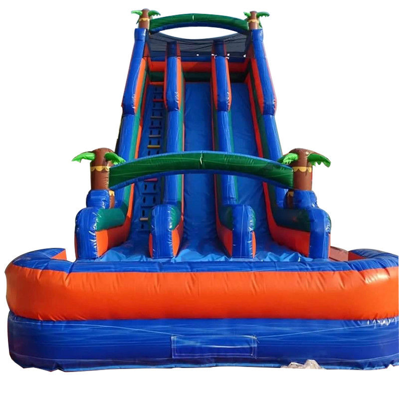 Palm Tree Orange Water Slide Inflatable Double Slip n Slide and Pool for Backyard Fun