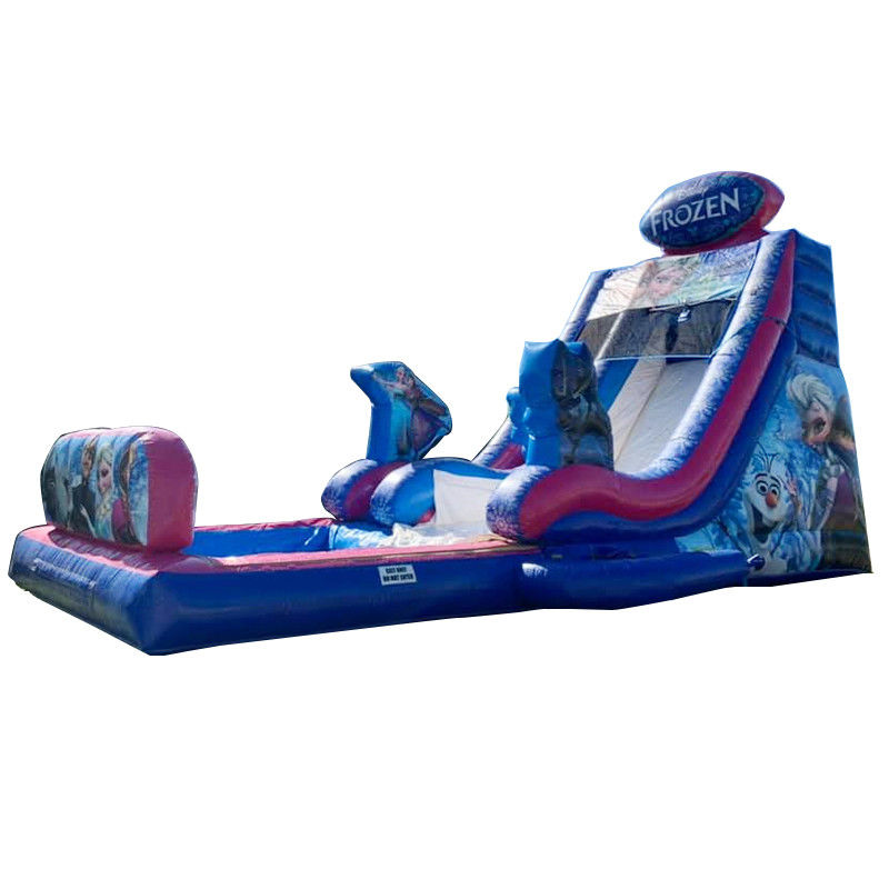 Max Capacity 100-500kg Inflatable Frozen Themed Bounce House Water Slide with Big Pool