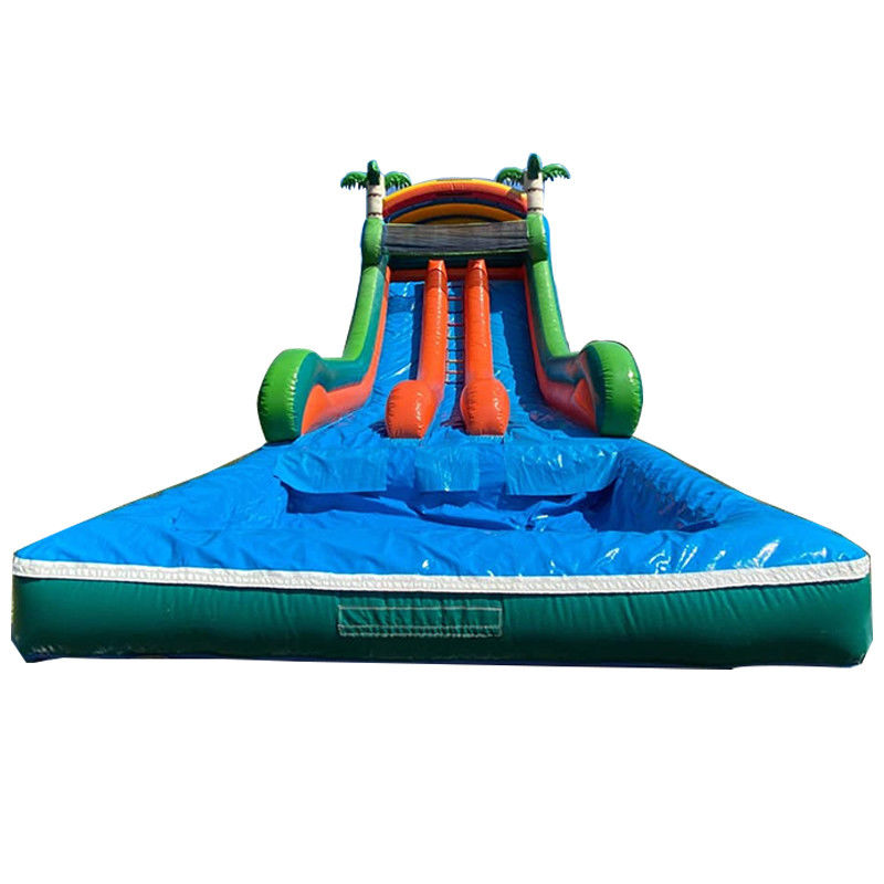 Max Capacity 100-500kg Dual Lane Inflatable Water Park with Pool and Palm Tree Slide