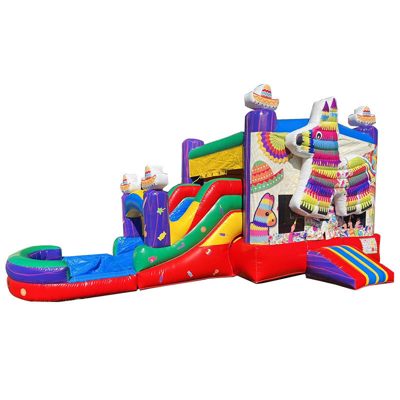 PORTABLE PVC Rainbow Puppy Inflatable Bounce House with Slide Combo Pool Jumpers Castle