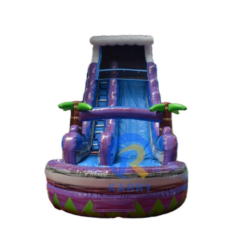 Customized Colorful PVC Inflatable Water Slide With Swimming Pool For Summer Fun