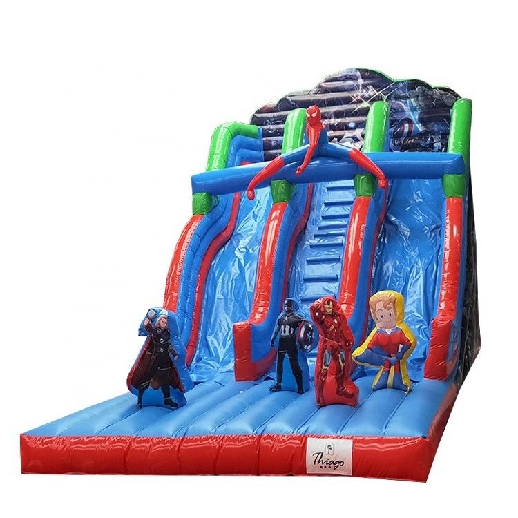 Customized Size Inflatable Water Slide for Outdoor Entertainment and Amusement Park