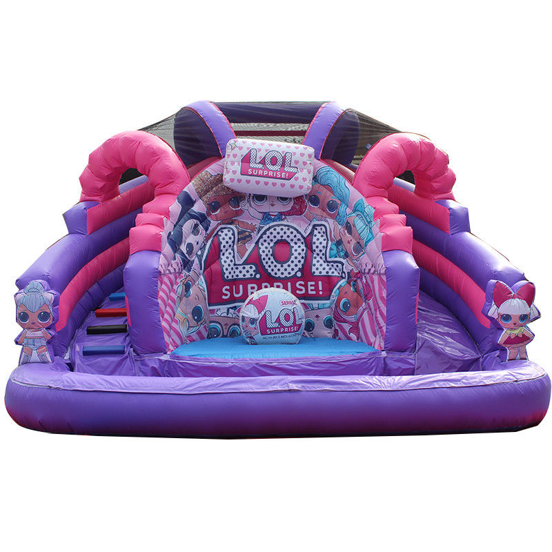 Commercial Inflatable Water Slide for Kid Adult Customized Color and 5-10 Passengers