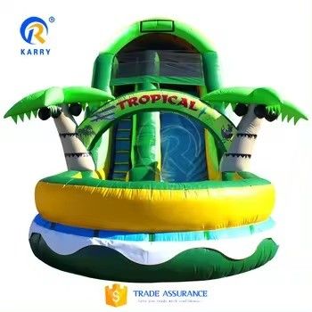 Large Adult Fun Inflatable Water Slide with Pool Customized Size and Digital Printing