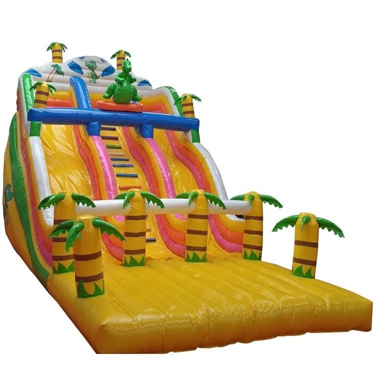 Blower Included Inflatable Water Slide Outdoor Dry Indoor Air Slides for Kids and Adults