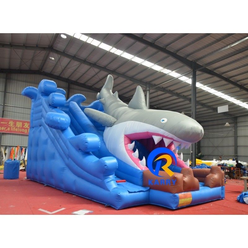 Customized Color Wet/Dry Inflatable Building with Slide and Blower Unisex Outdoor Fun