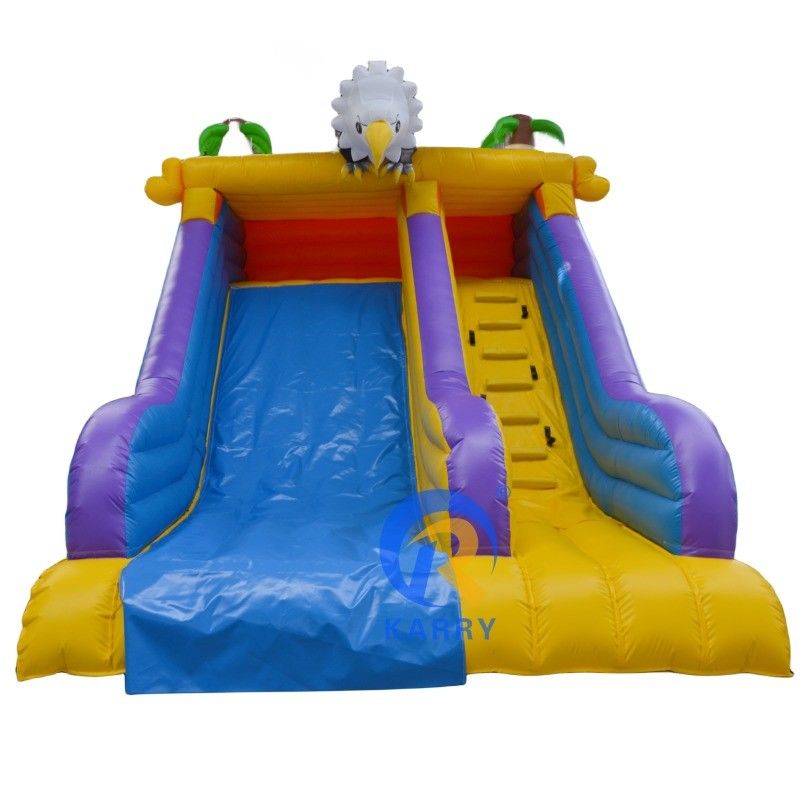 Max Capacity 100-500kg Mini Little Angry Eagle Inflatable Water Slide for Summer Fun