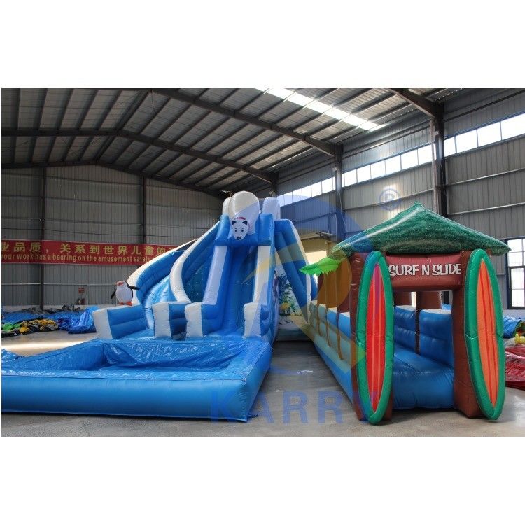 Commercial Inflatable Water Slide Polar Bear Arctic Plunge Dual Lane for Outdoor Fun