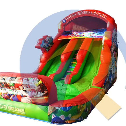 Cartoon Mario Inflatable Double Slide for Jumping and Swimming Max Capacity 100-500kg