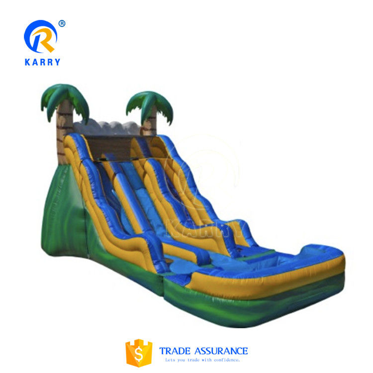 Customized Color Inflatable Water Slide Popular Backyard Commercial Kids Adults Size