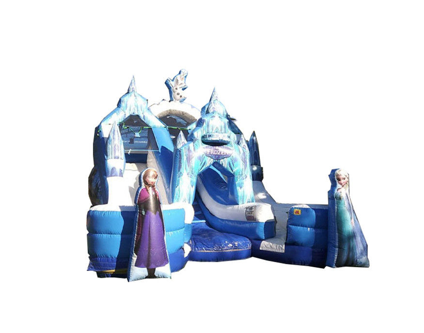 Customized Color Cartoon Character Double Outdoor Frozen Inflatable Slide for Kids Party