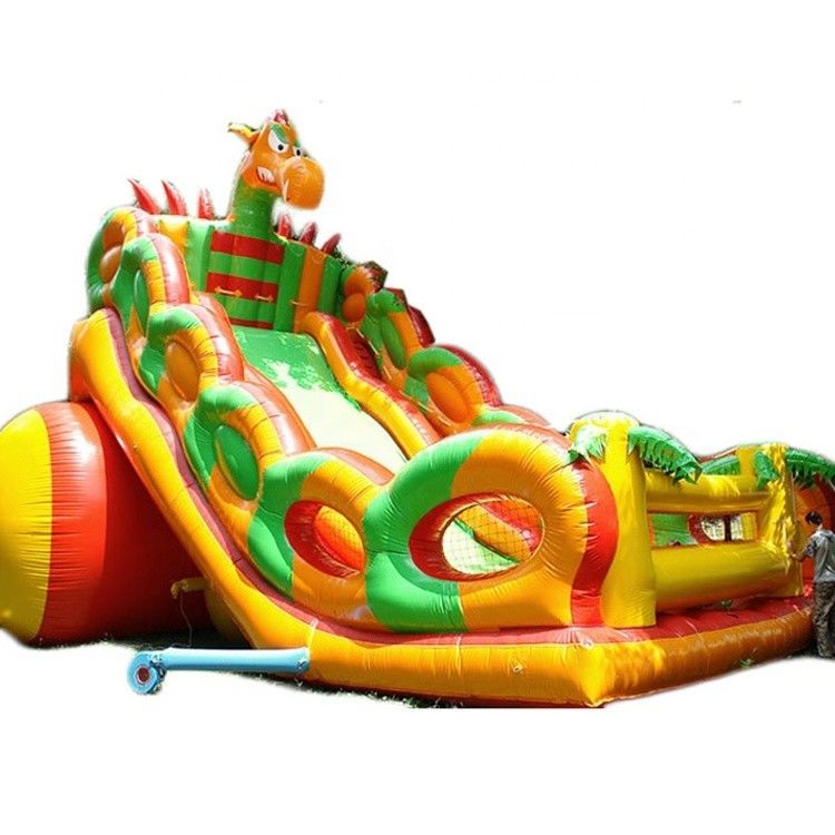 Floating Pool Hurricane Inflatable Bouncy Castle Slide Combo Adult Size Angry Dinosaur