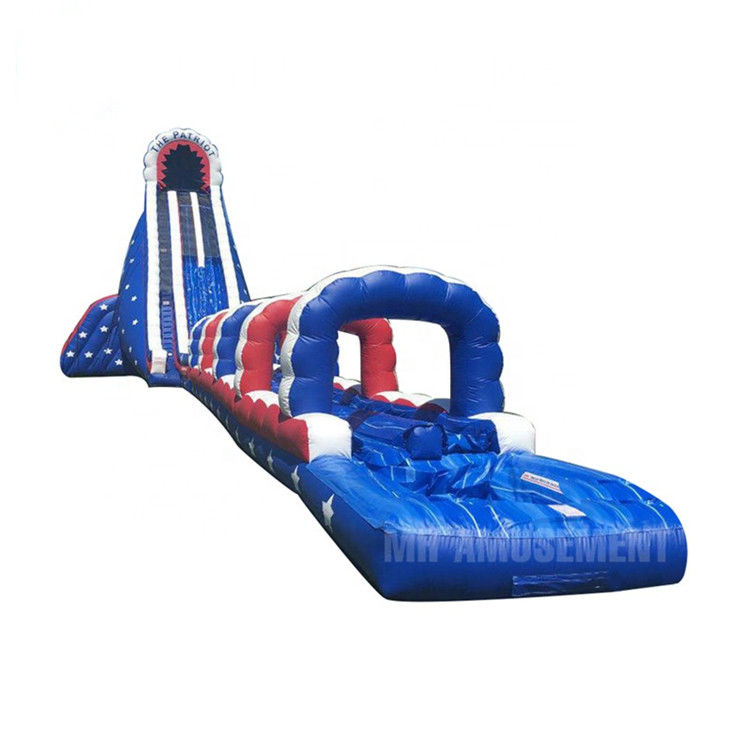 Commercial Inflatable Dry or Water Slide for Summer Water Park Kids Swimming Pool Fun