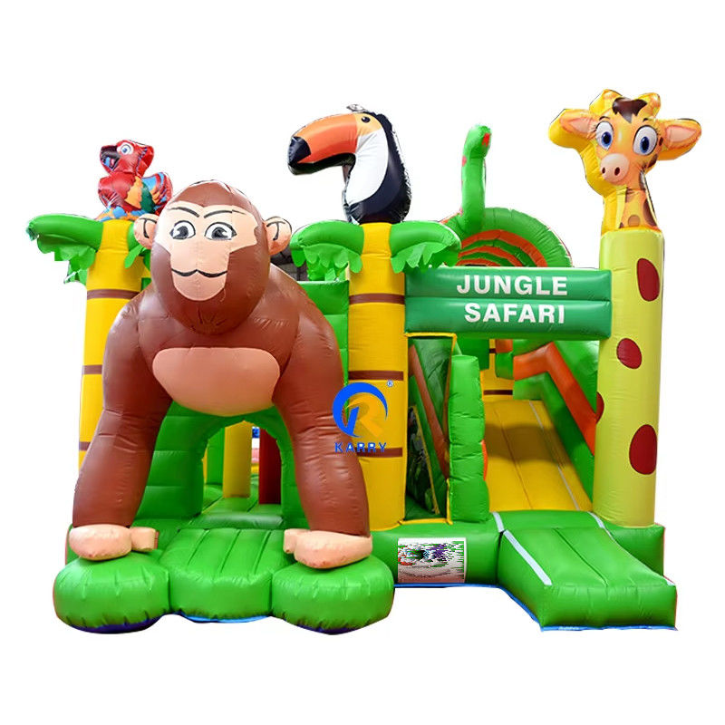 Customized Color Inflatable Castle Jumping Commercial Combo Slide and Bouncing Castle