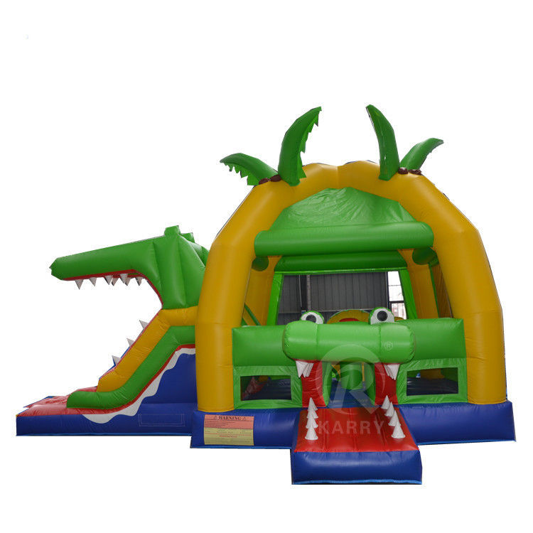 14 Years up Popular Outdoor Inflatable Bouncer Slide with CE Blower and Repair Kits