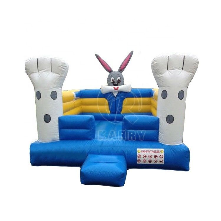 Cute and Funny Commercial Bouncy House Age Range 14 Years Up Gender Unisex Funny Design